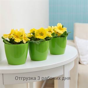 floraplast-014697_plaskikovye_gorshki_optom.jpg
