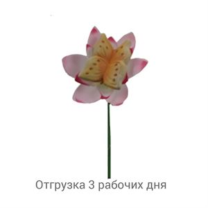 floraplast-018651_stikery_optom.jpg