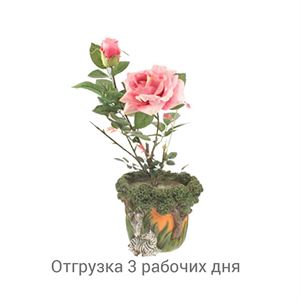 floraplast-021241_keramicheskie_gorshki_optom.jpg