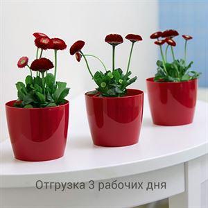 floraplast-030923_plaskikovye_gorshki_optom.jpg