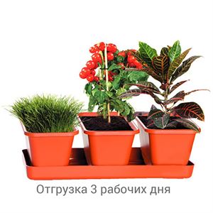 floraplast-039224_sadovyj_inventar_optom.jpg
