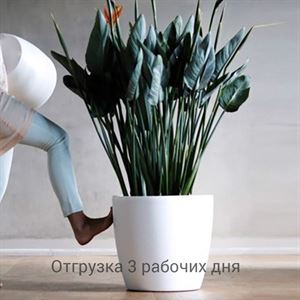 floraplast-047461_plaskikovye_gorshki_optom.jpg