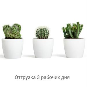 floraplast-047618_plaskikovye_gorshki_optom.jpg