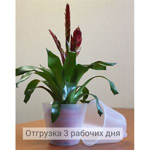 floraplast-048200_plaskikovye_gorshki_optom.jpg