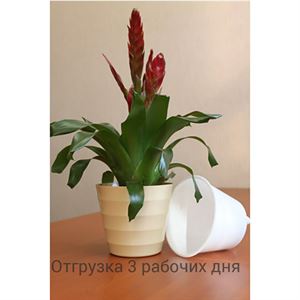 floraplast-048207_plaskikovye_gorshki_optom.jpg