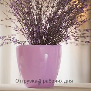floraplast-050108_plaskikovye_gorshki_optom.jpg