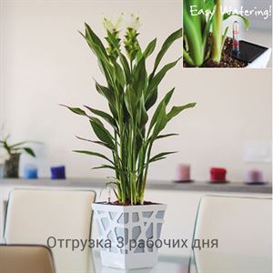 floraplast-055081_plaskikovye_gorshki_optom.jpg