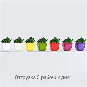 floraplast-055477_plaskikovye_gorshki_optom.jpg